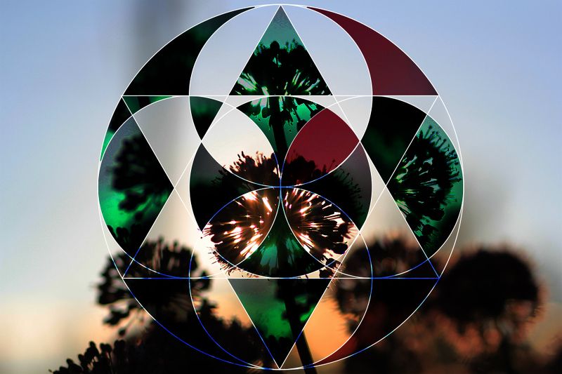сакральная, геометрия, одуванчик, коллаж, символ, природа, закат, узоры, геометрия, концептуальная, абстракция Внутри древнего символа «Цветка жизни» фото превью