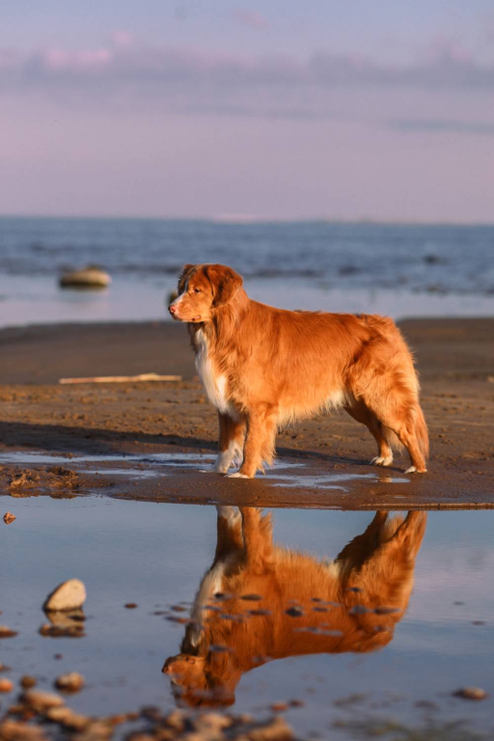 , Андрей Ершов