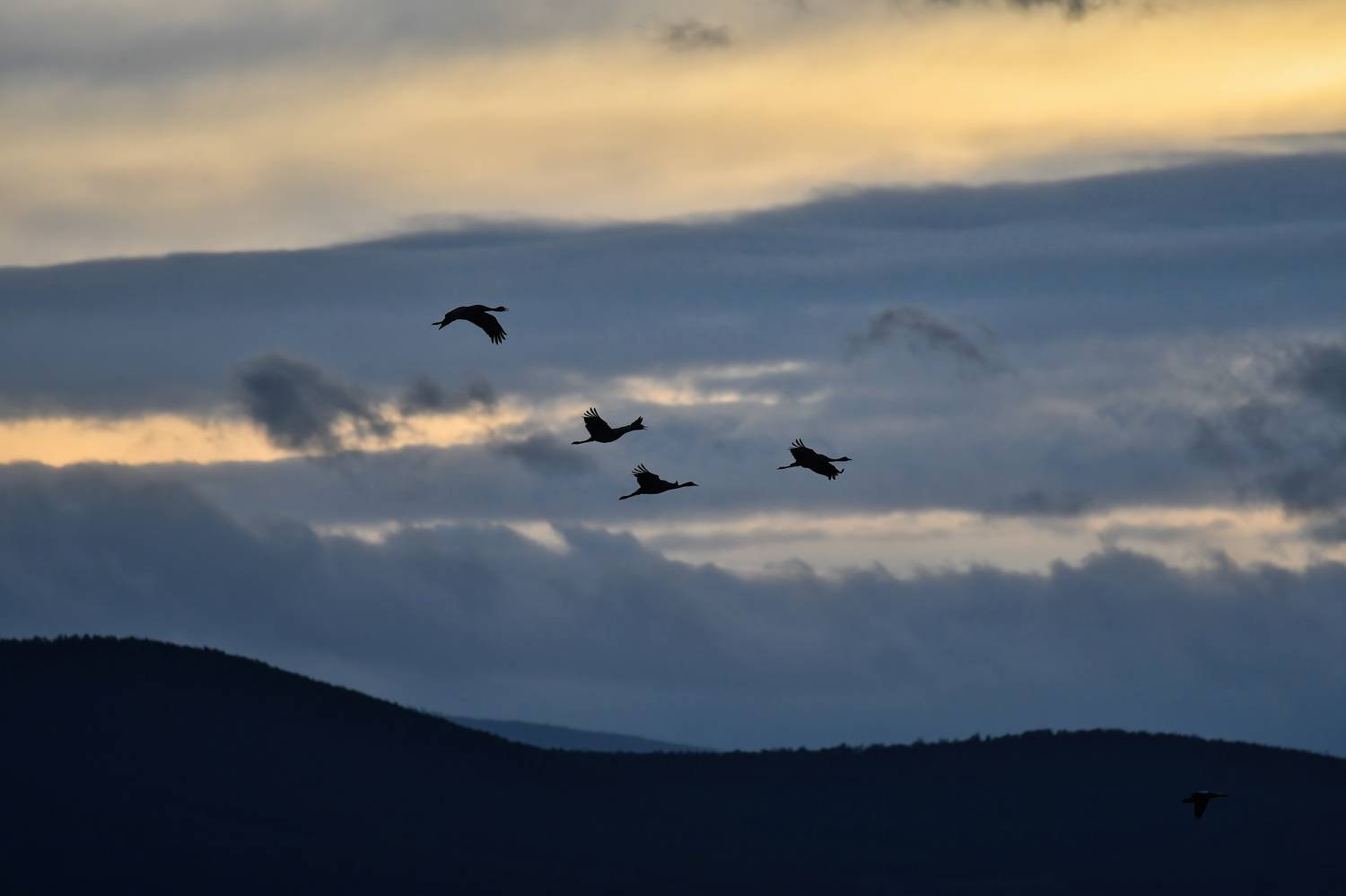 , Большаков Алексей