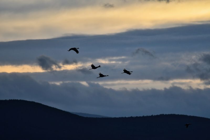 Степной закат фото превью