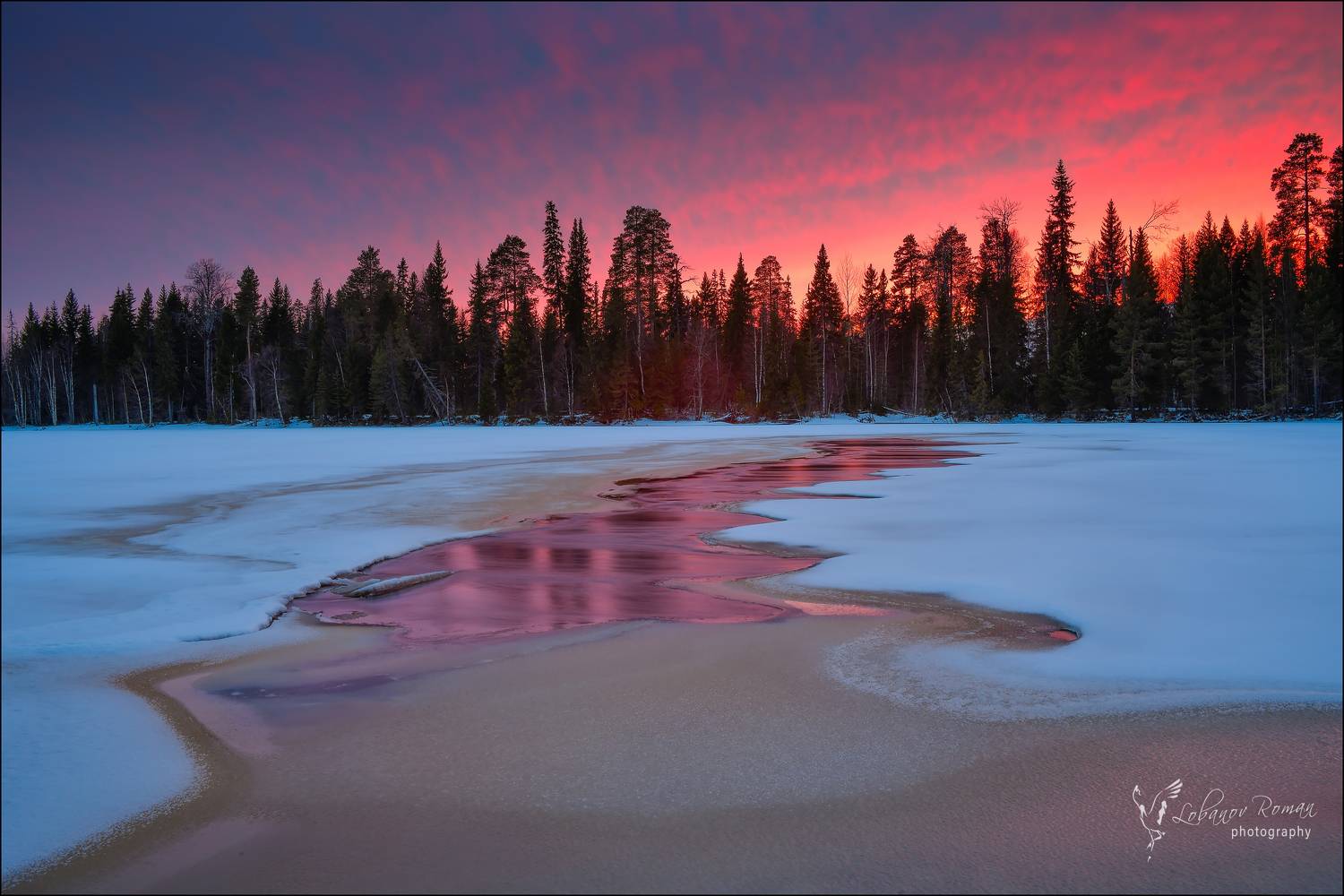 , Лобанов Роман