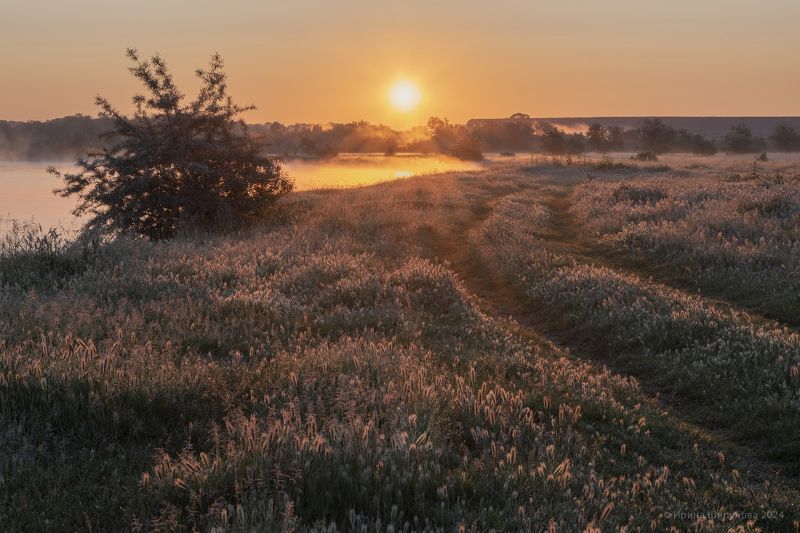 В лучах восходящего солнца фото превью