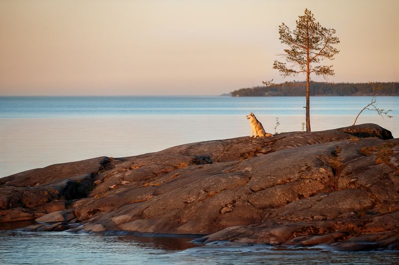 Ладога фото превью