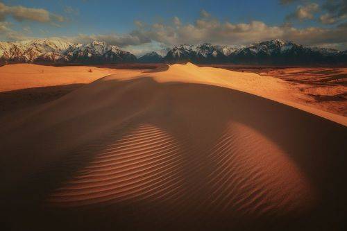 Рентген пустыни, или Бархан и его лёгкие