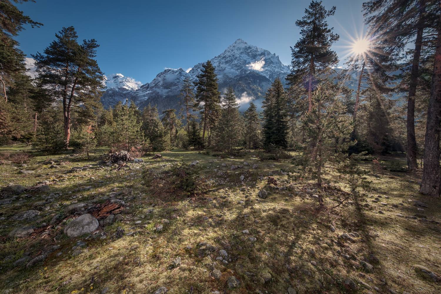 svaneti, forest, mountain, ushba, clouds, sky, high, nature, landscape, scenery, travel, outdoors, georgia, sakartvelo, chizh, Чиж Андрей