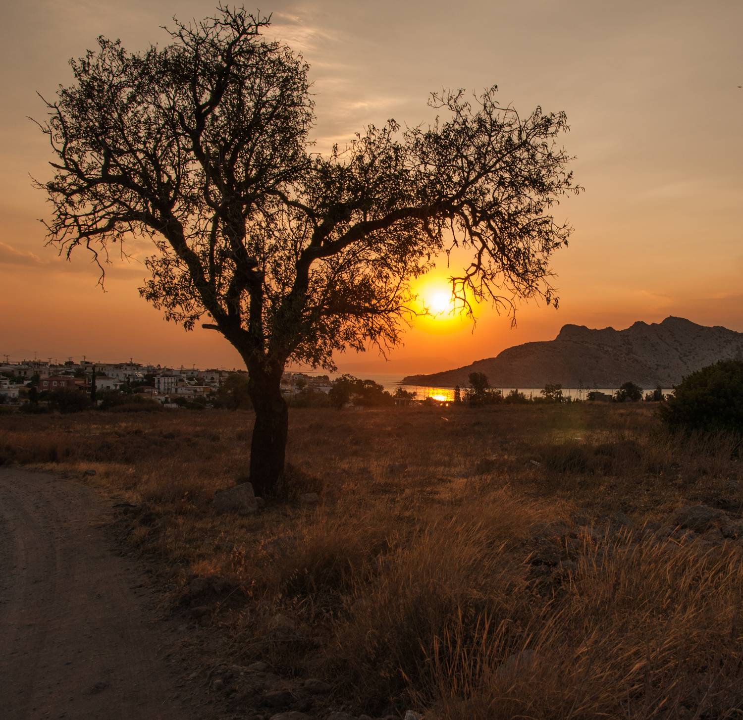 , Дария Максимова