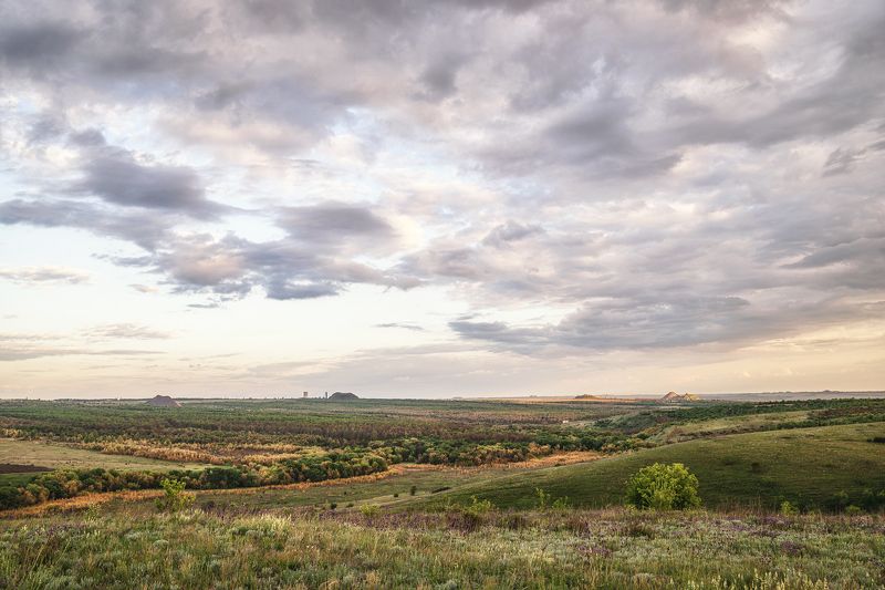 Балка Харцызская и Буруцкий лес. фото превью