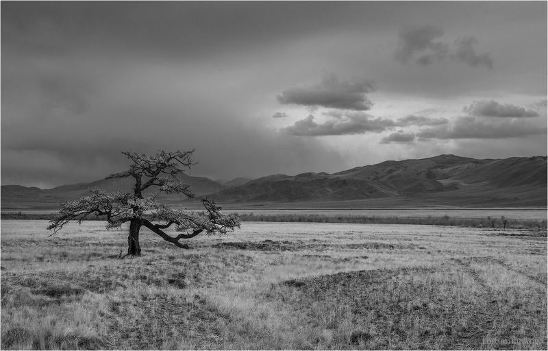 Фототур на Алтай фото превью
