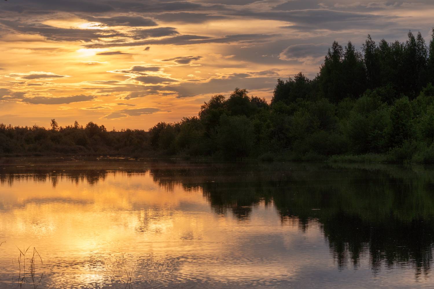 , Иван Мосьянов