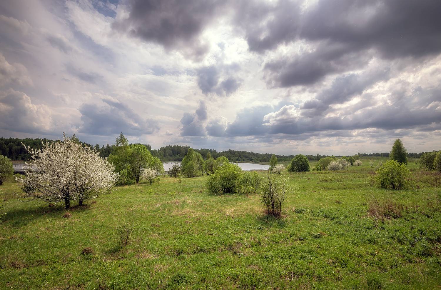 Просторы, весна, май, Сергей Аникин
