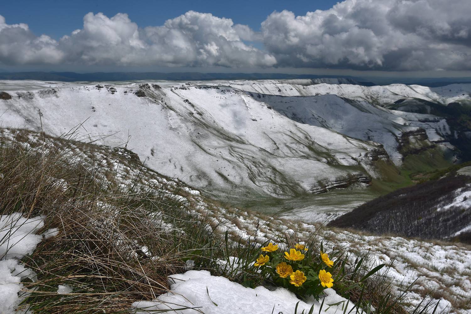 аурсентх, кабардино-балкария, Хасан Журтов