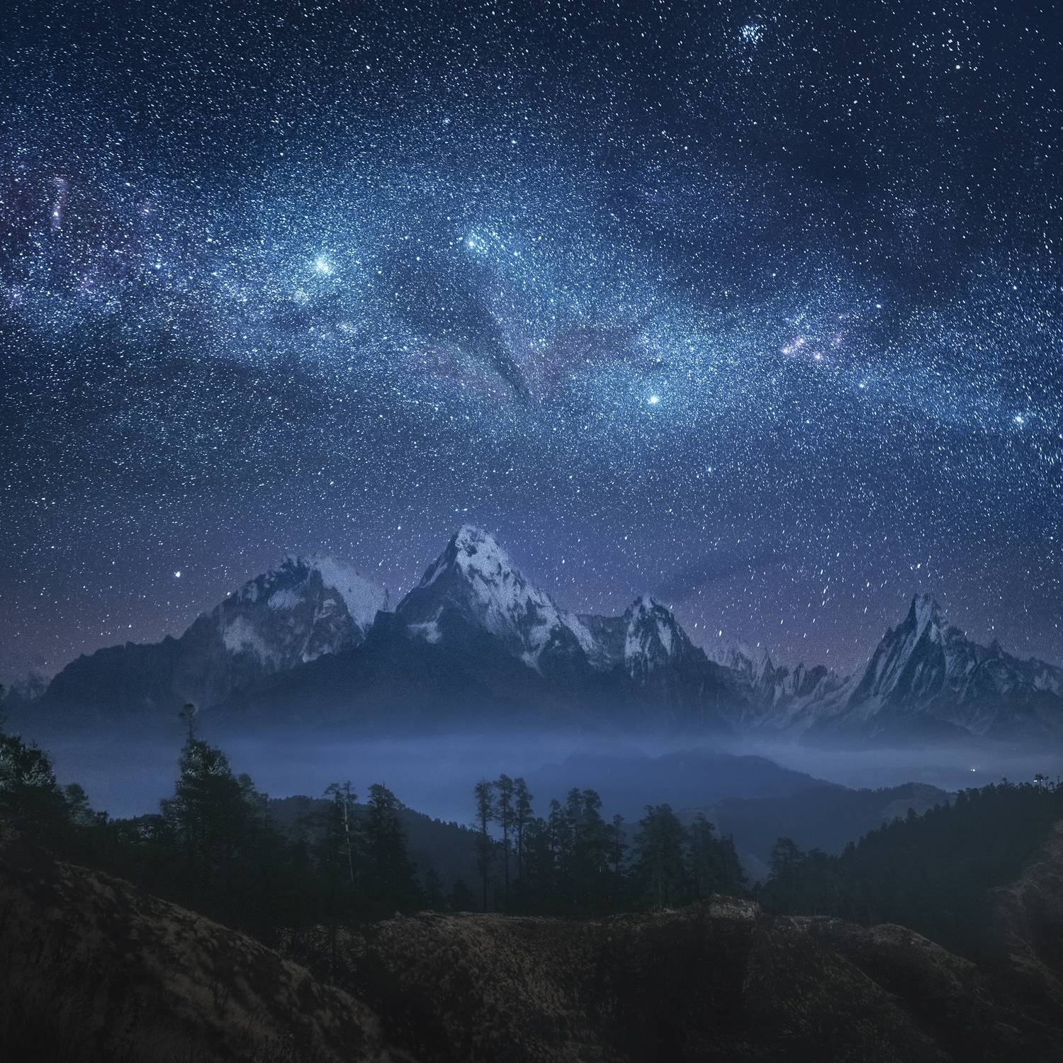 , Политова Анна