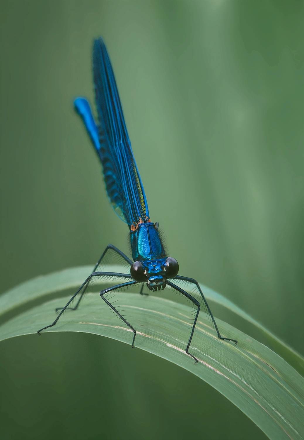 , Фото Александр