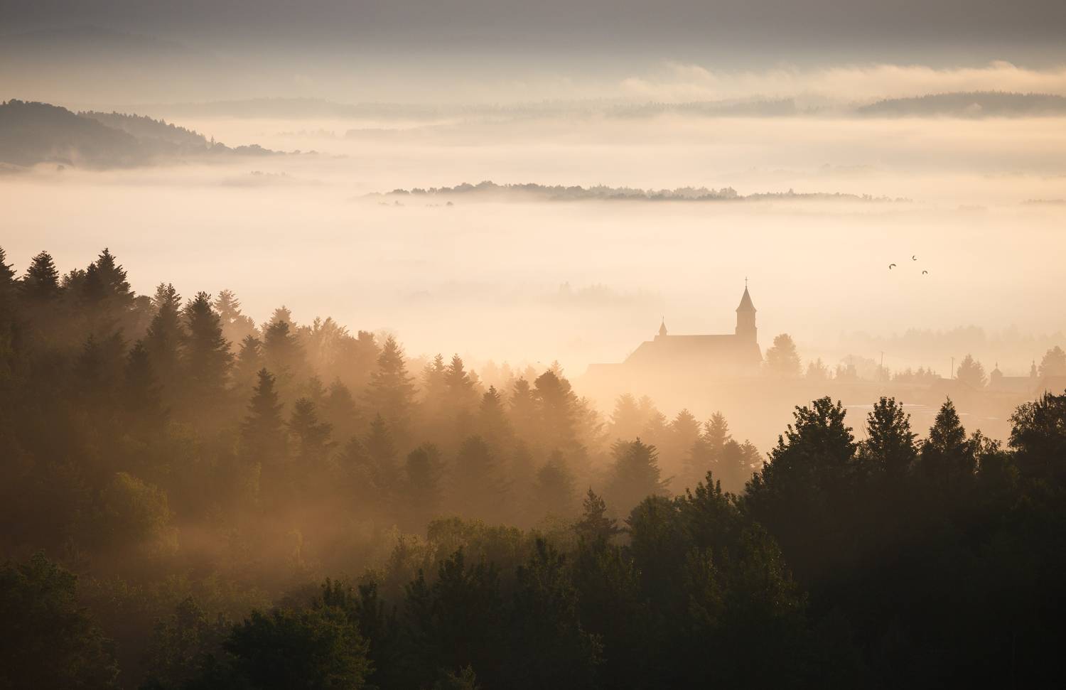 ,  Mirosław Pruchnicki