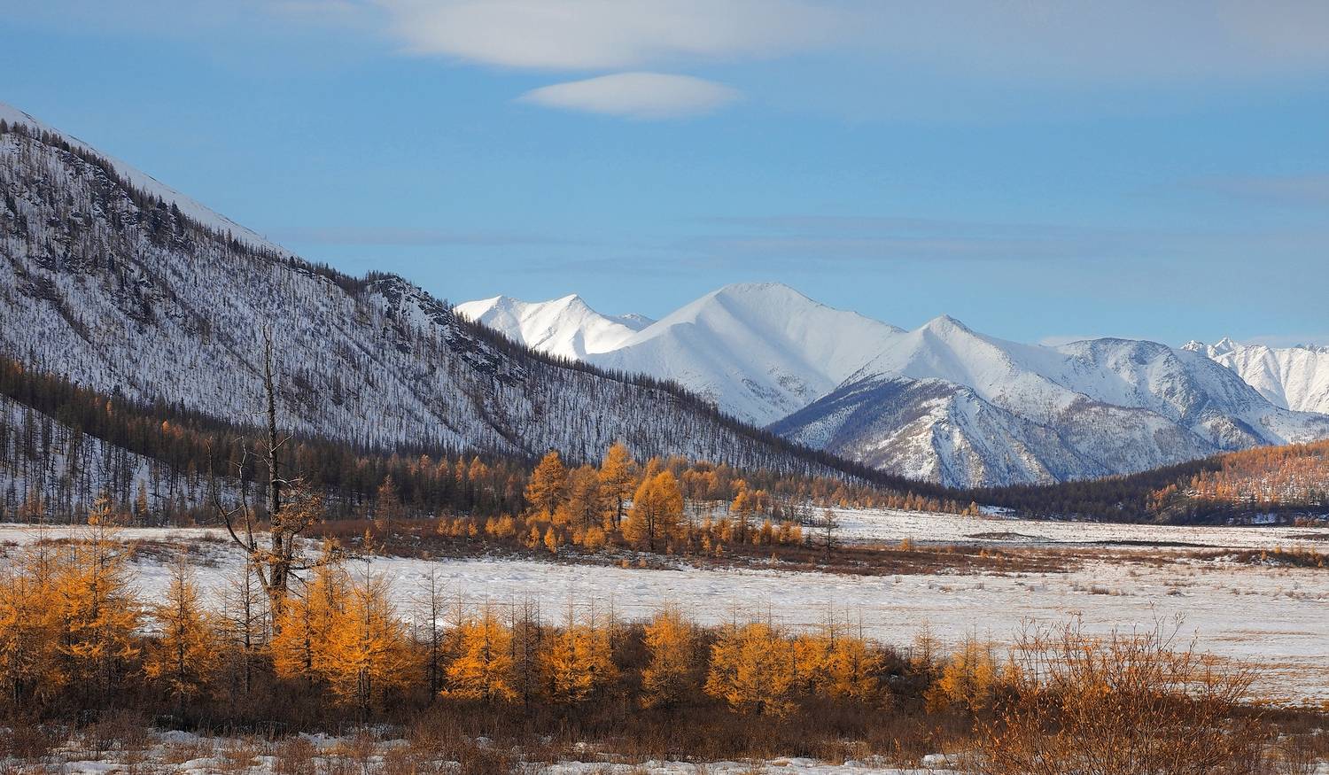 , Александр Попов