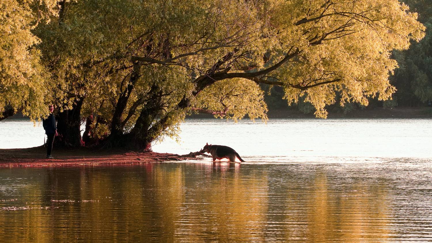 , Вадим Коваленко