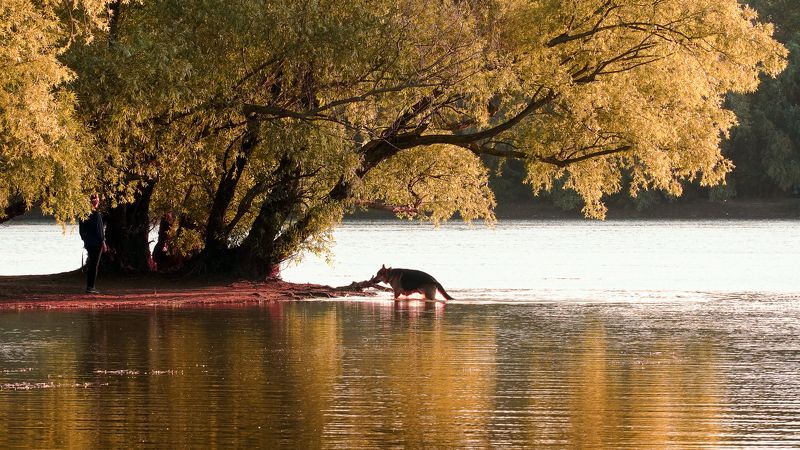 Рыболов фото превью