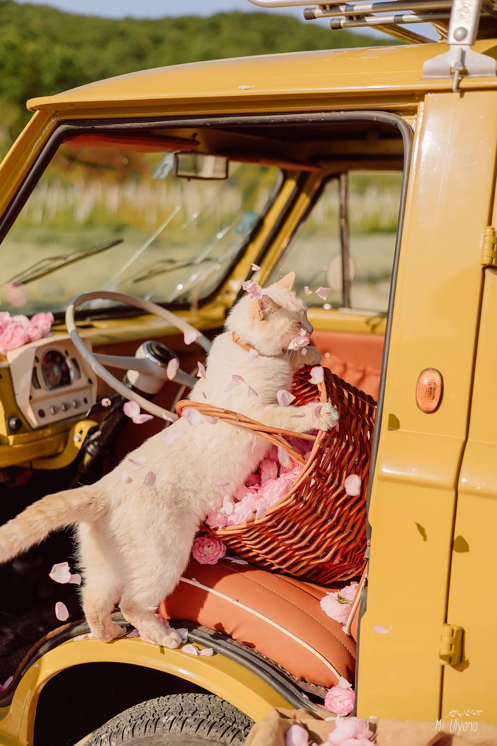 , Ульяна Буканова (Мизинова)