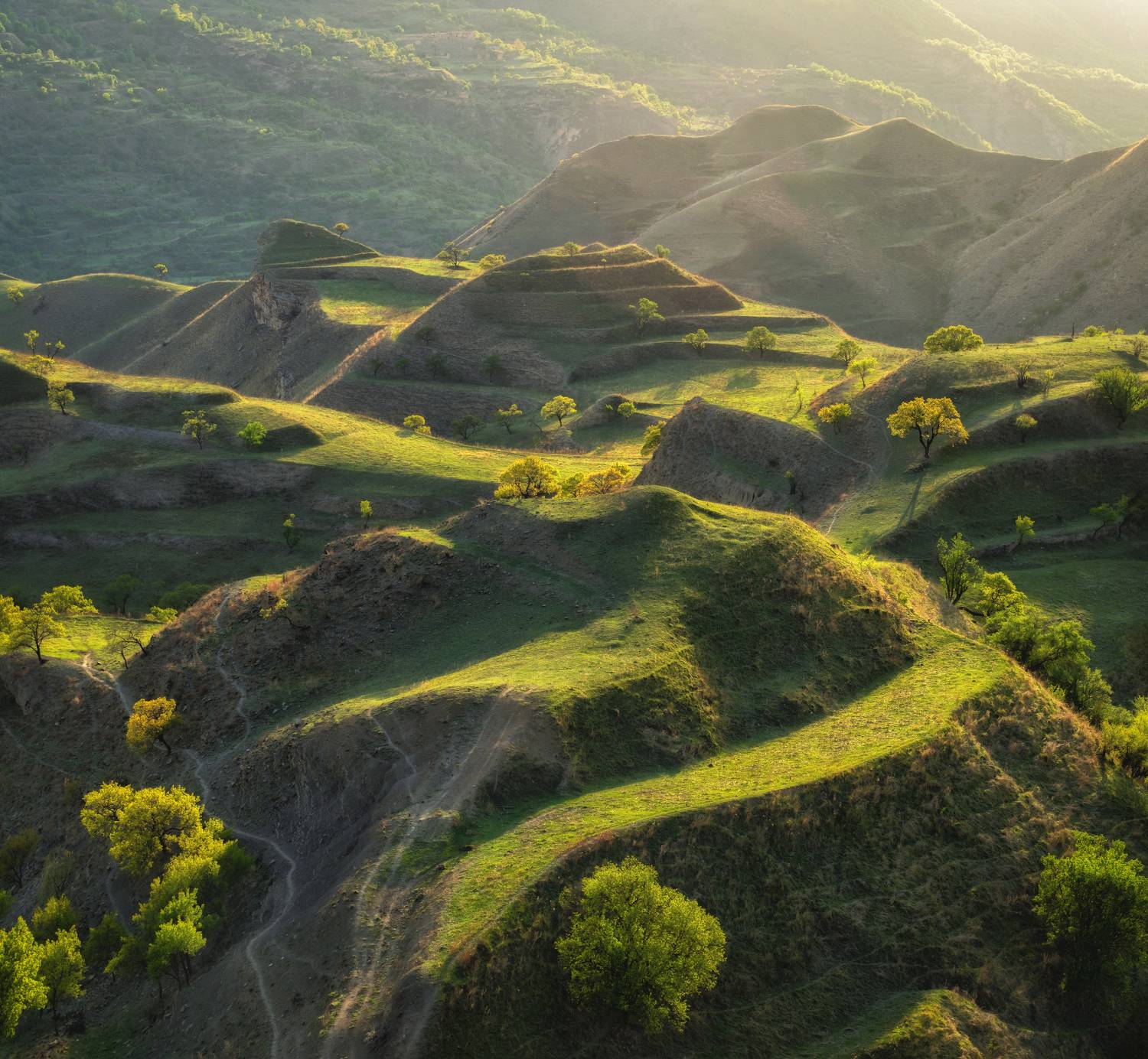 дагестан, Андрей Грачев