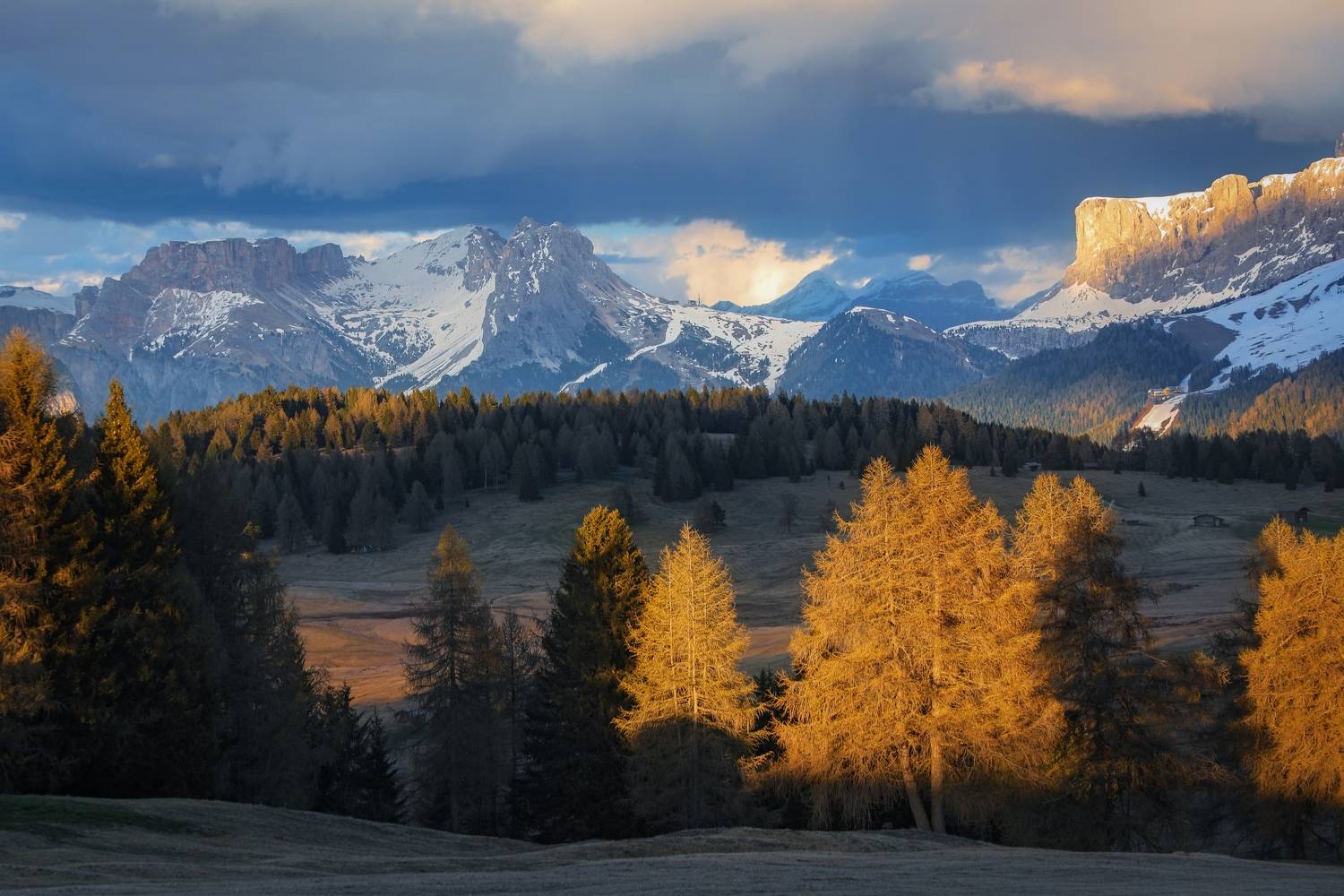 , Алекс Римский