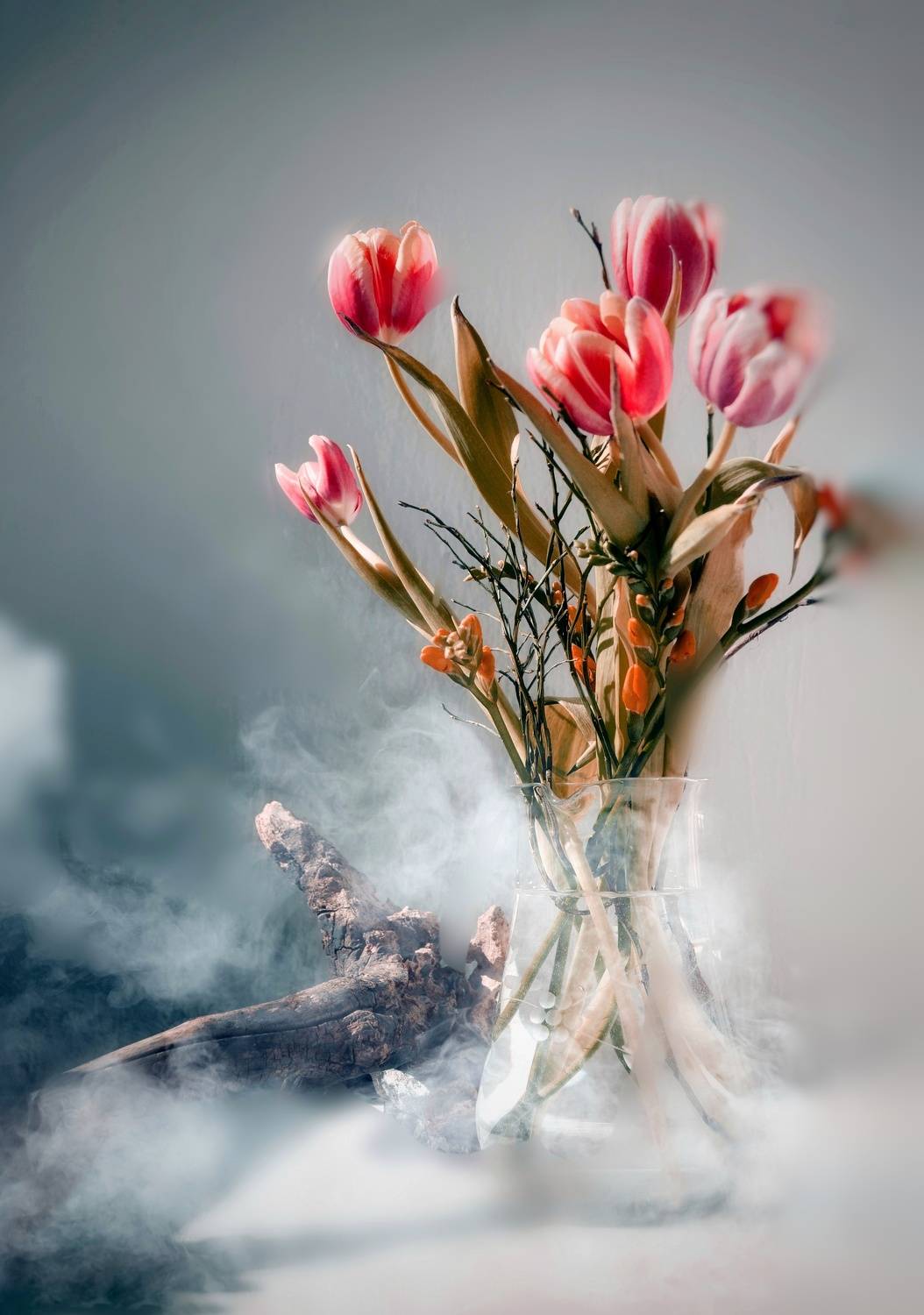 , Юлияна Стоянова