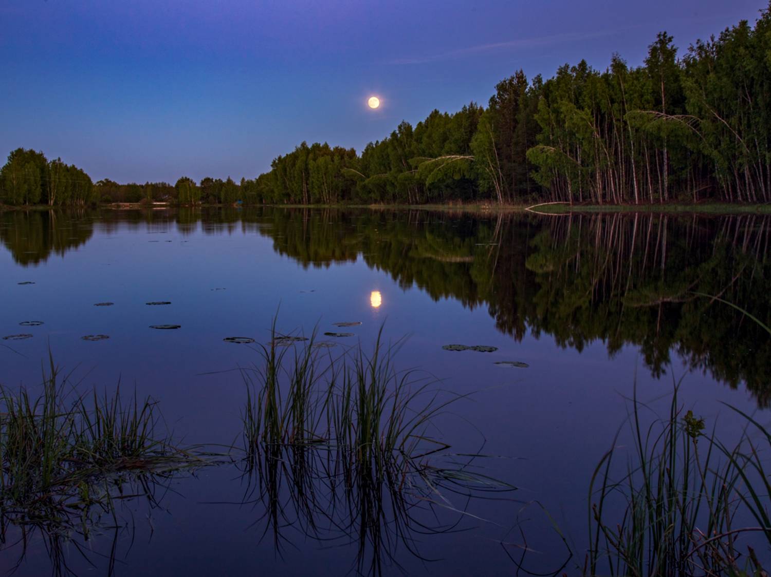 май восход луны вечер черная порза, Алексеев Дмитрий