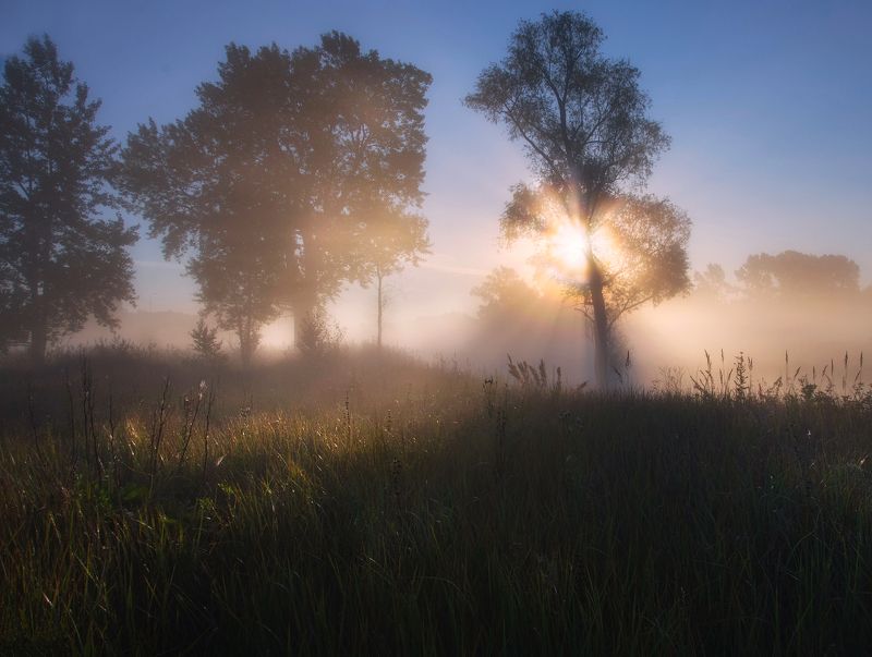 Туманное утро фото превью