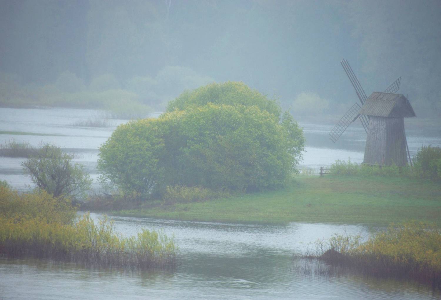 , Петр Косых