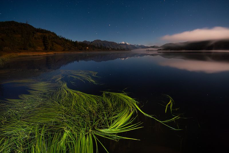 язевое, озеро, ночь, белуха, звезды, казахстан  фото превью