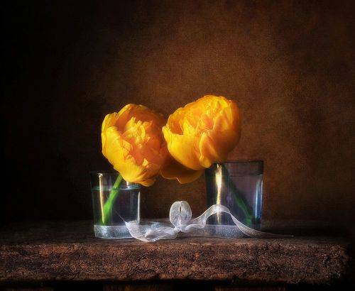 Тайна жёлтых тюльпанов