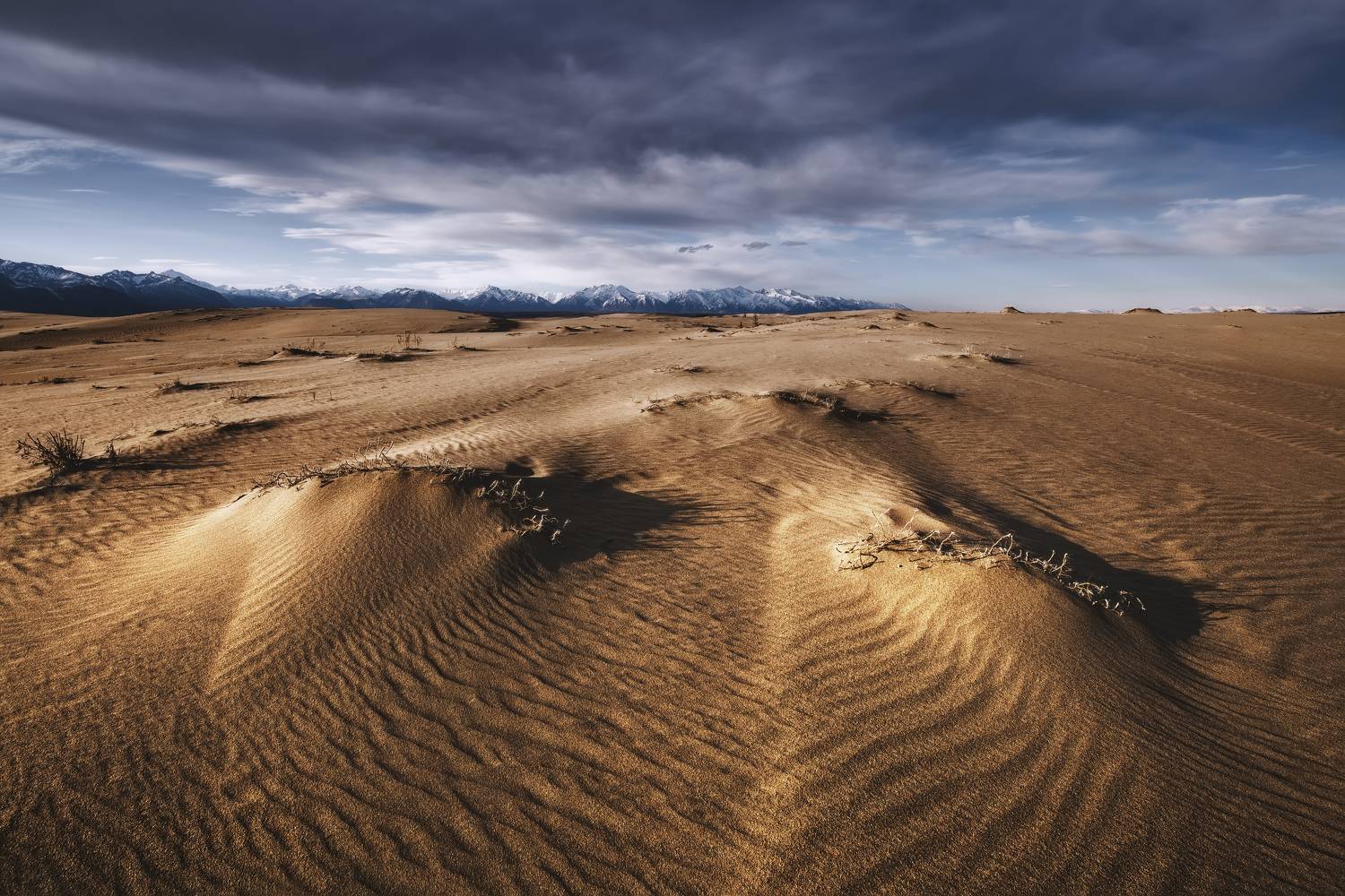 , Максим Евдокимов