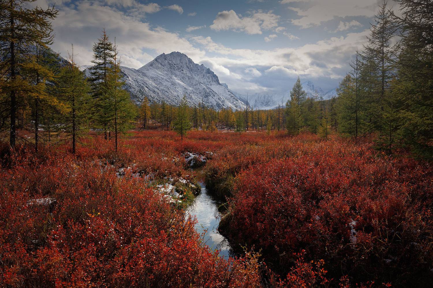 , Морозов Сергей