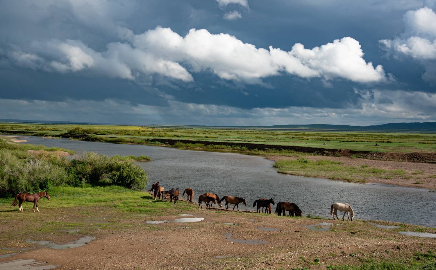 лошади река, Евгений Дроботенко