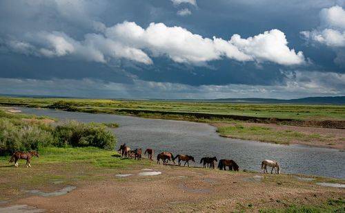 Прогулка у реки