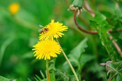 В работе с головой 