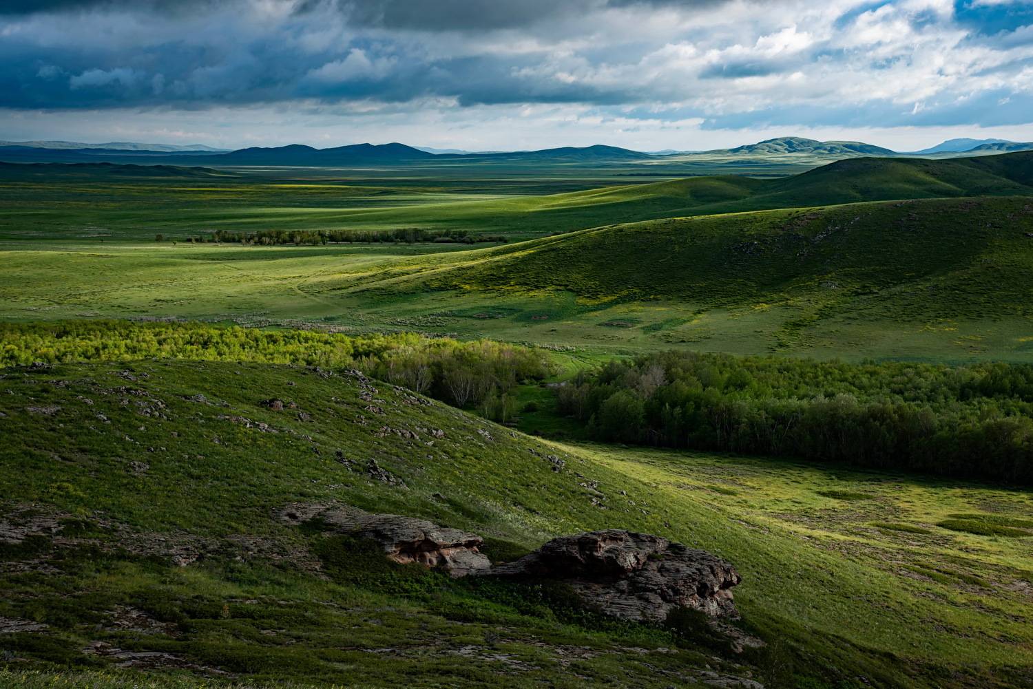 степь, Евгений Дроботенко