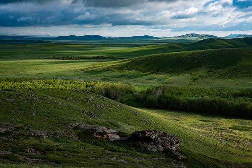 На просторах Сары-Арки