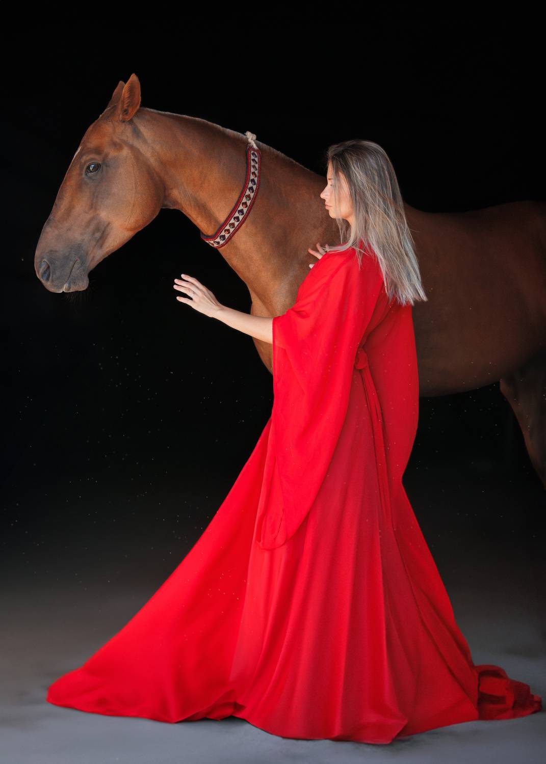 horse, horses, лошадь, конь, конныйфотограф, кэнон, canon, 7020028, лошади, фотографияслошадью, конный фотограф Яна Орлова, фотосессияслошадью, фотосессиислошадьми, коннаяфотография, pferd, horsephotographer, женский портрет, девушка , Яна Орлова