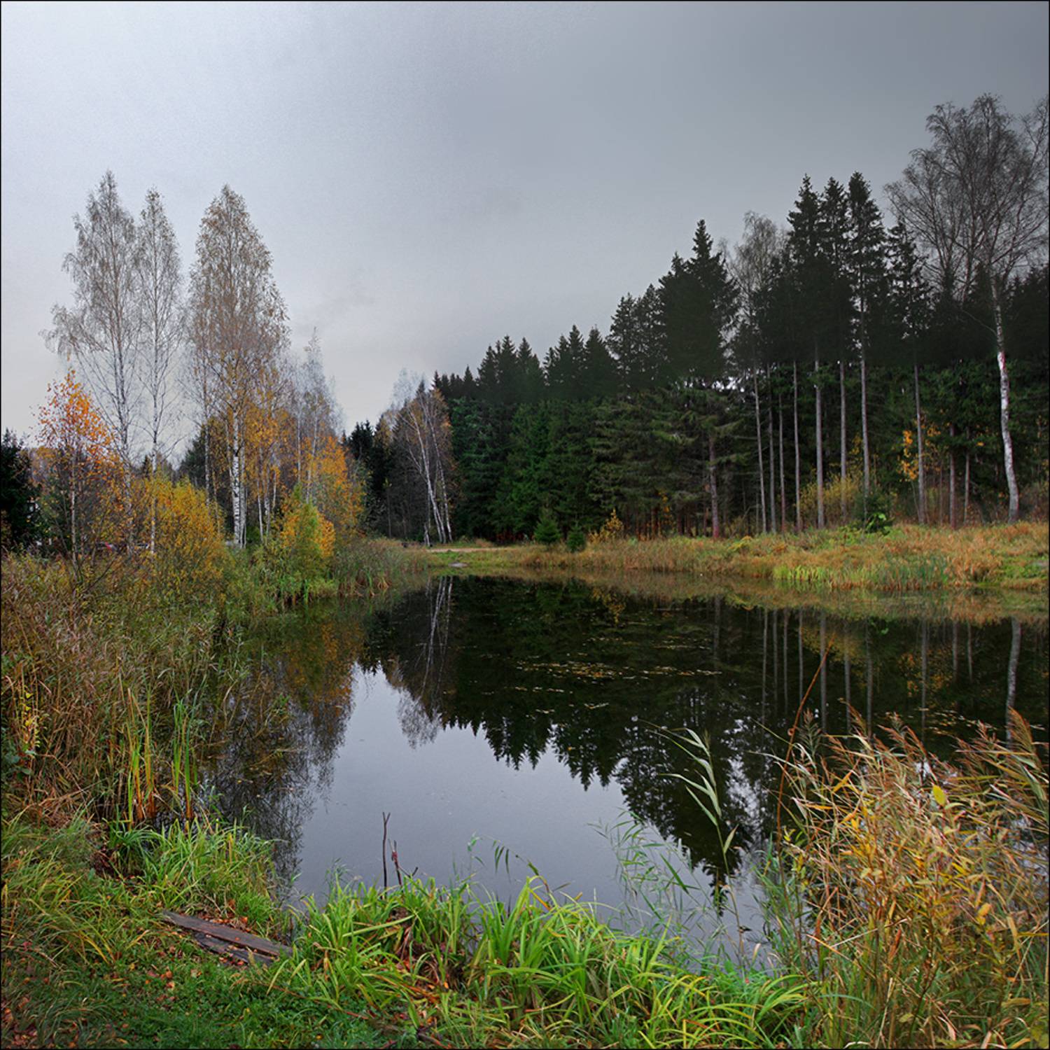 подмосковье,, Тарасов Алексей