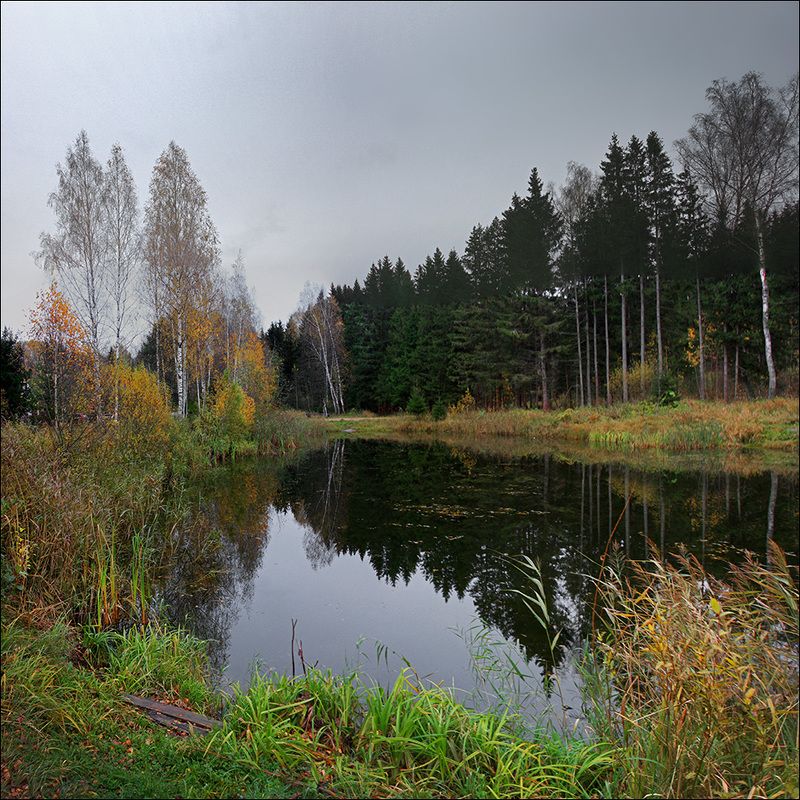 подмосковье, по подмосковью... фото превью