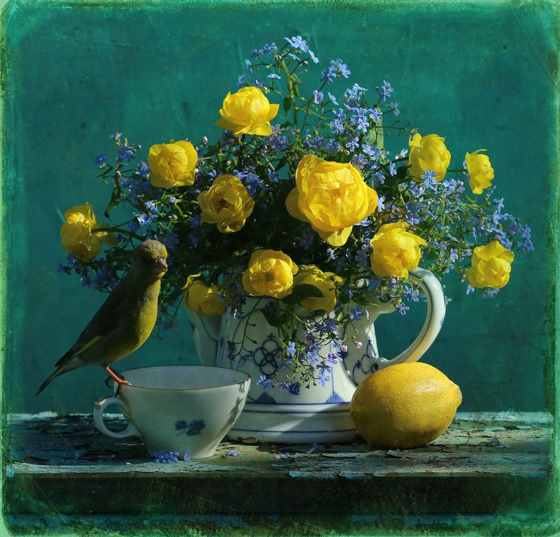 зеленушка Утро, полдень, вечер фото превью