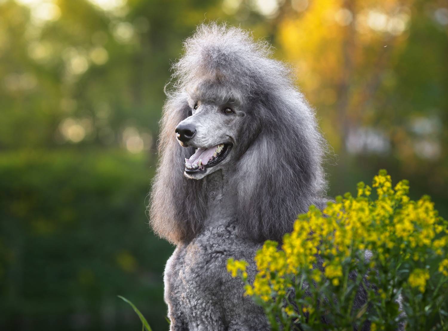 , Андрей Ершов