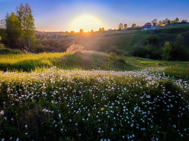 фото превью