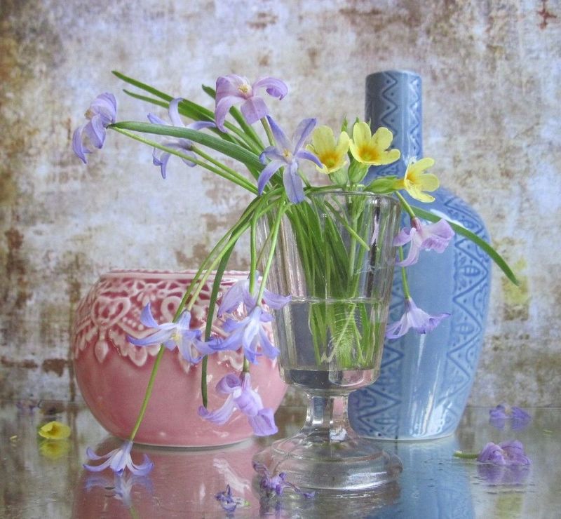 С хионодоксой и примулой фото превью