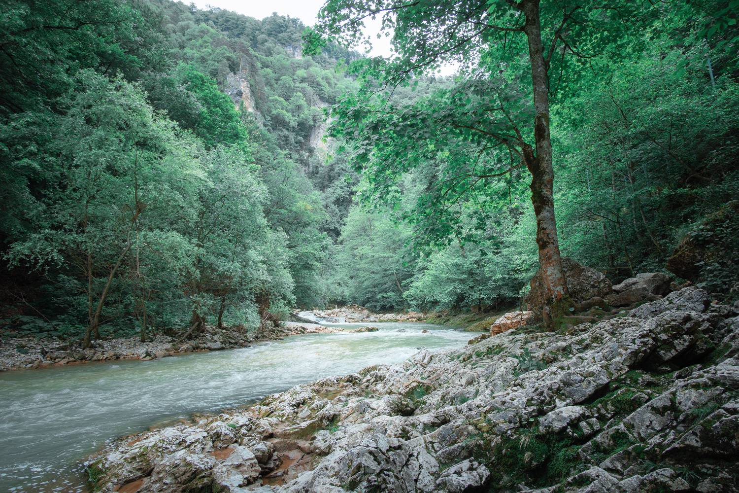лес, река, горы, скалы, дерево, Вадим Коваленко