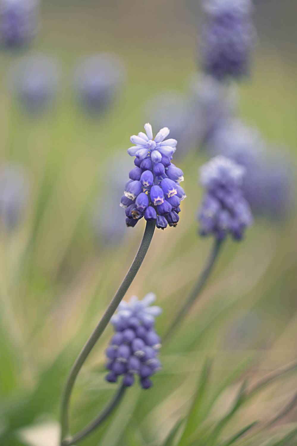 , Мария Обидина