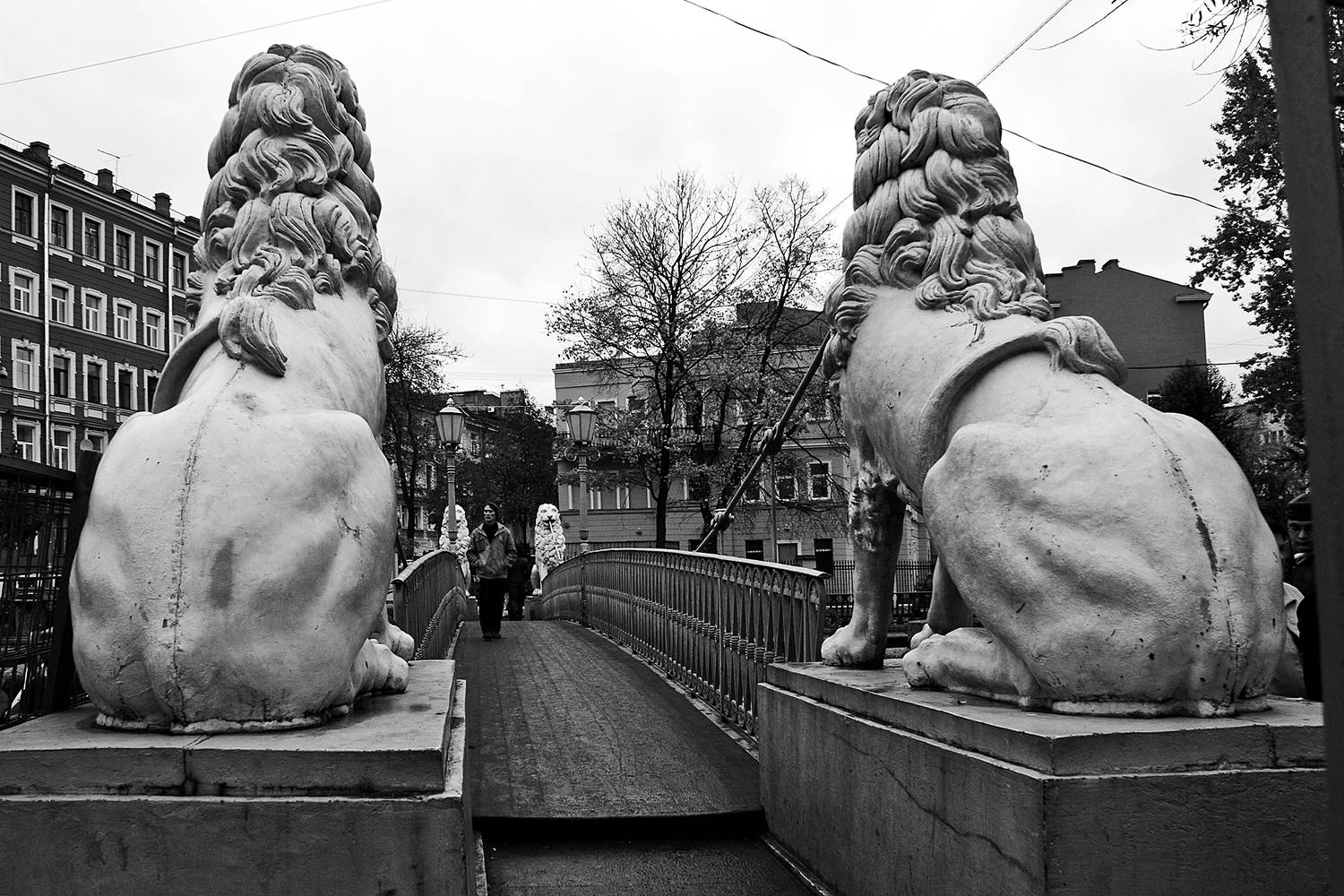 петербург, мост, львы, город, апатиты, чб, Николай Смоляк