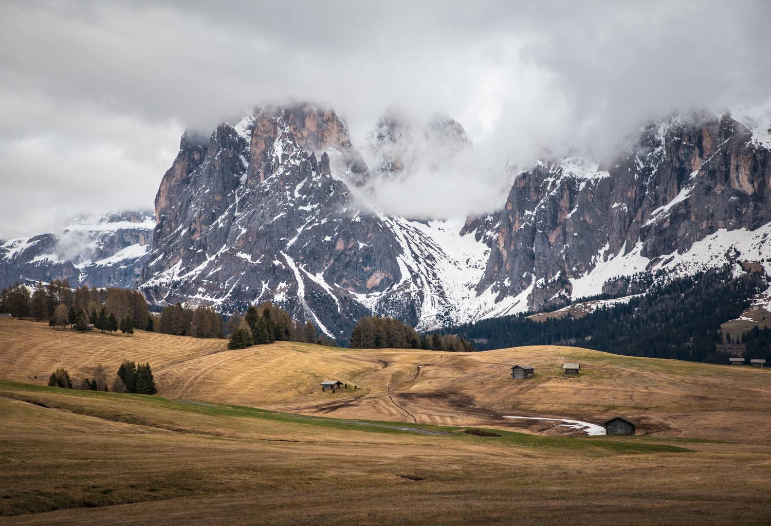 , Алекс Римский