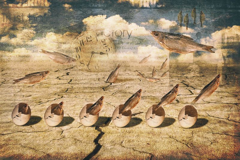 Рыбий хаос/Fish chaos фото превью