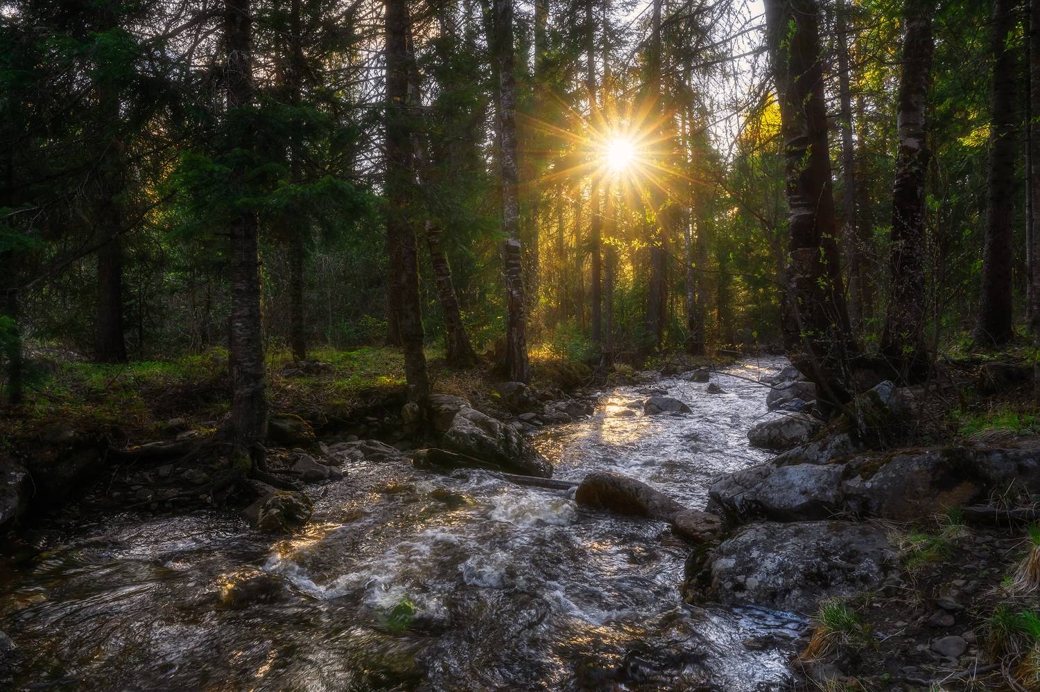 , Межин Сергей